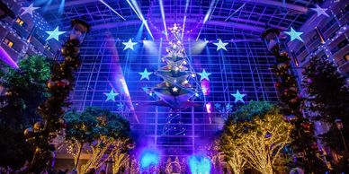 Indoor Christmas celebration with lights and a modern tree design.