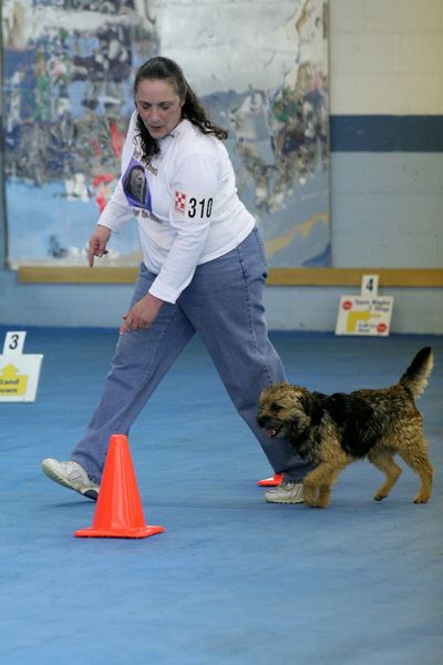 A trainer and dog running a rally course.