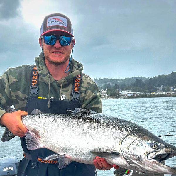 Cowlitz chinook salmon