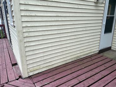 Before House Wash Belleville WI