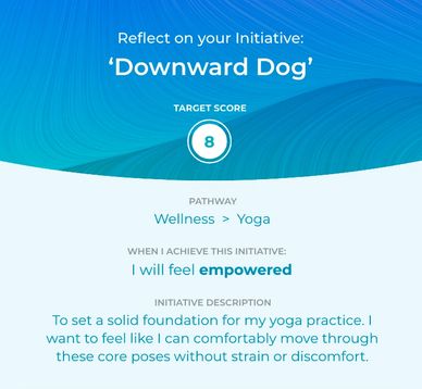When making a reflection you will see a summary of your initiative at the top.