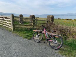 Wonderful views on the Carlingford Lough Greenway