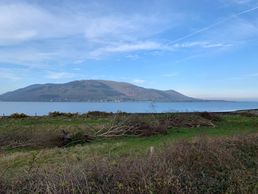 Looking across the lough to the Mourne Mountains