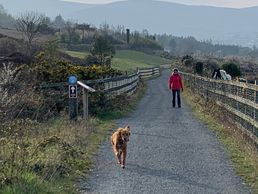 Dog friendly - but dogs must be on a leash for parts of the greenway