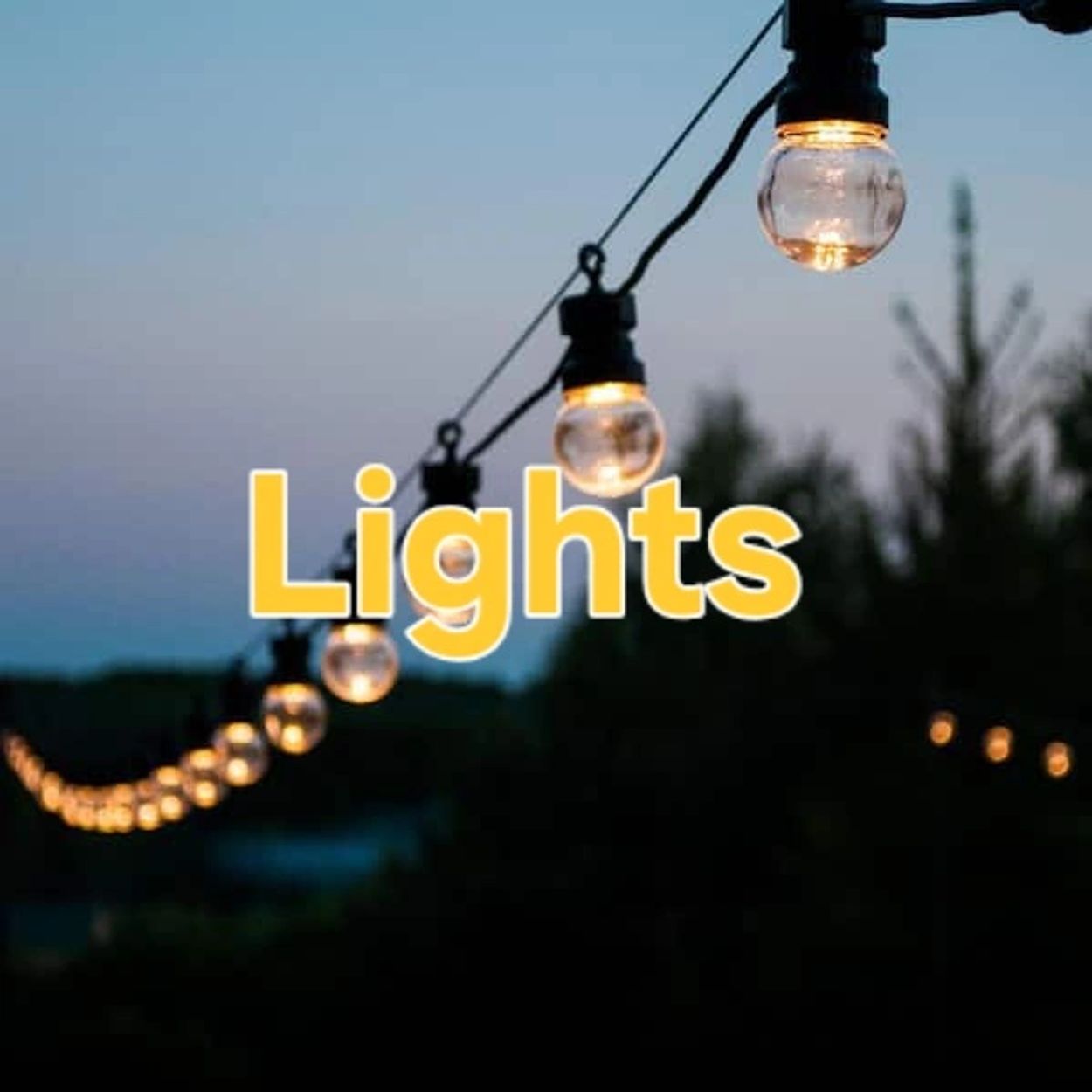 Lights & Switch