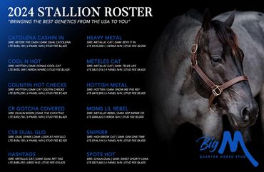 Equine Marketing Agency