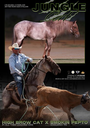 High Brow Cat son, Jungle Cat.