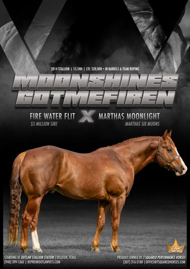 Stallion Promotional Advertisment