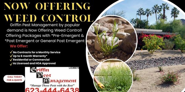 Pre-Emergent to Prevent and Post Emergent to kill weeds with a 6 month warranty !