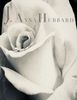 J. ANNA HUBBARD ROSE LOGO