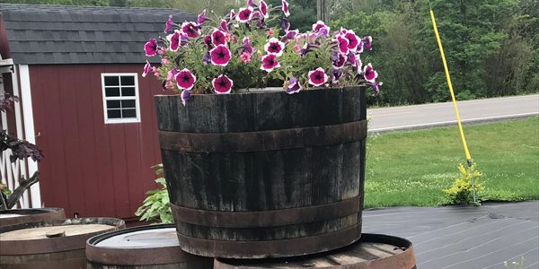 We have cut whiskey & wine barrels for plants.