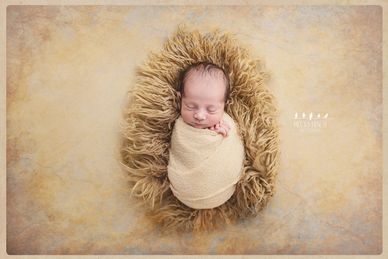 Newborn Baby Boy Photography Session Wrapped Portrait Kingston Photographer Photos Pictures 