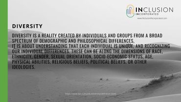 Definition of Diversity