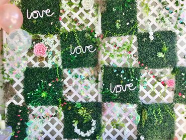 Wedding photo backdrop