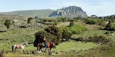 Ethiopia adventures tour