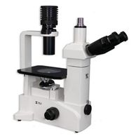 Meiji Inverted Biological Microscope
