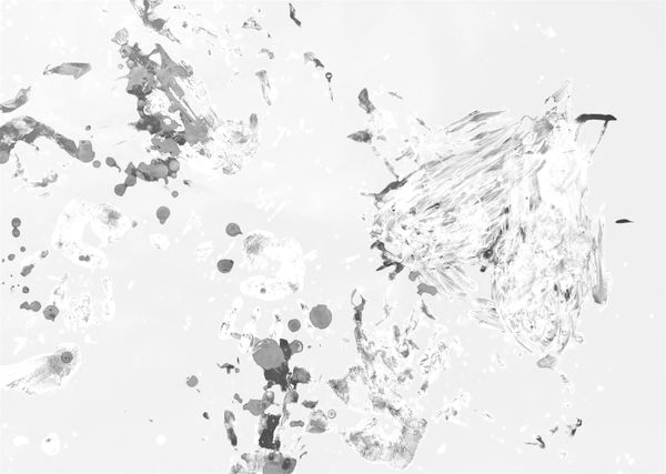 Abstract black and white ink splatters on a light background.