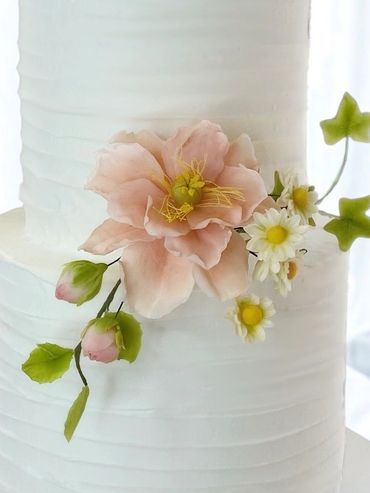 Open peony sugar rose in dusty pink with small daisies