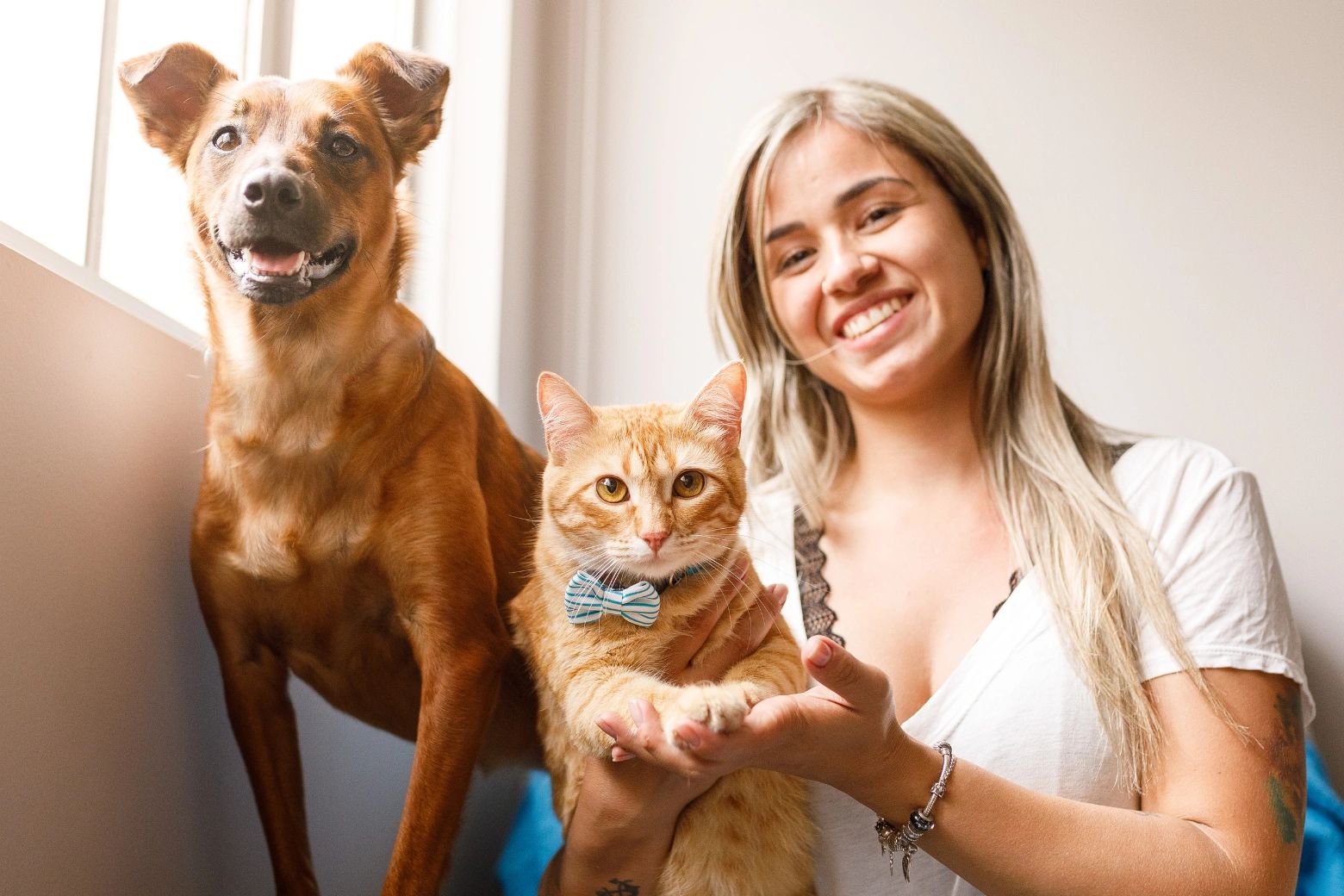 reiki for pets