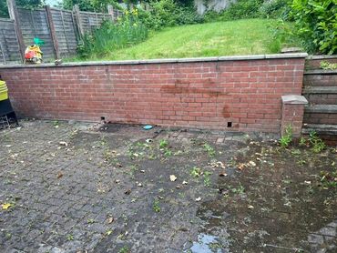 Overgrown weeds sprouting between patio bricks in a backyard with a brick wall and grass.