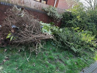 Pile of garden branches and leaves next to a brick wall and wooden fence.