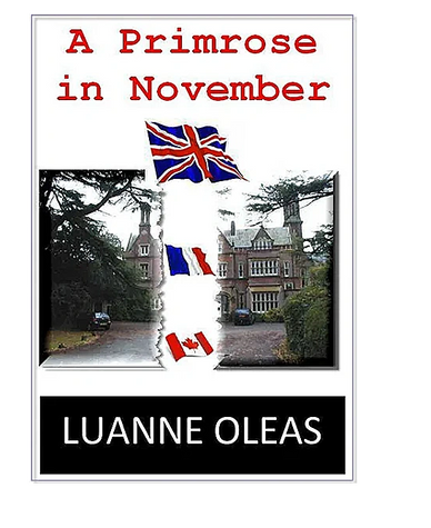 Book cover for 'A Primrose in November' by Luanne Oleas with flags and a mansion.