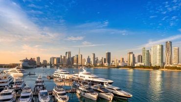 Luxury yachts docked in a marina with a city skyline at sunset.