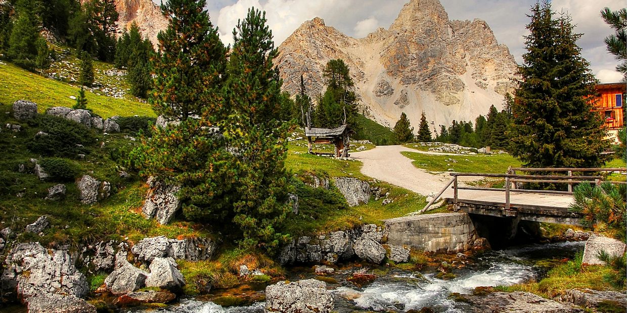 Mountain stream with wooden bridge and pine trees under a cloudy sky.