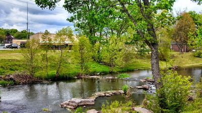 Small creek with rocks and green trees in the foreground, with a grassy bank in the background.