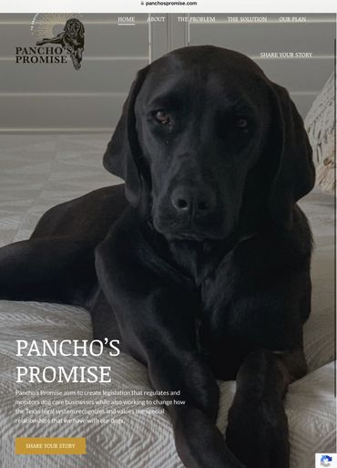 The PET Movement : Pets Are Family Unite voices to advocate Animal Rights Law reform