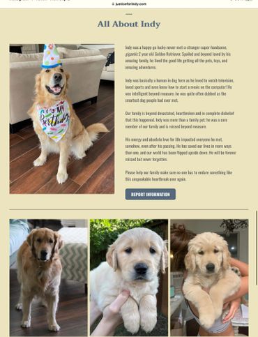 The PET Movement : Pets Are Family Unite voices to advocate Animal Rights Law reform