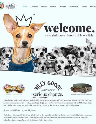 The PET Movement : Pets Are Family Unite voices to advocate Animal Rights Law reform