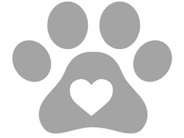 The PET Movement : Pets Are Family Unite voices to advocate Animal Rights Law reform