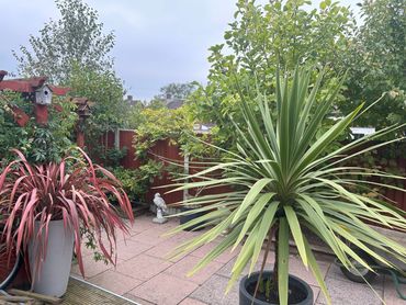 Potted plants add visual features to your garden