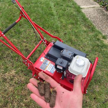 lawn aeration service
