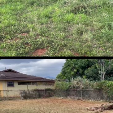 Two outdoor scenes showing grassy and dry areas.