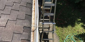 View from roof showing a ladder and garden hose below.