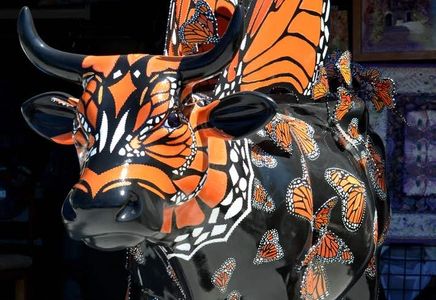 Moo Monarch Butterfly Cow for Cow Parade SLO. Giant lifesize cow designed as a Monarch Butterfly.