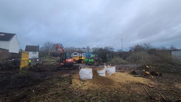 forestry maintenance Birmingham