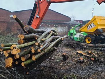 tree chipping services West Midlands