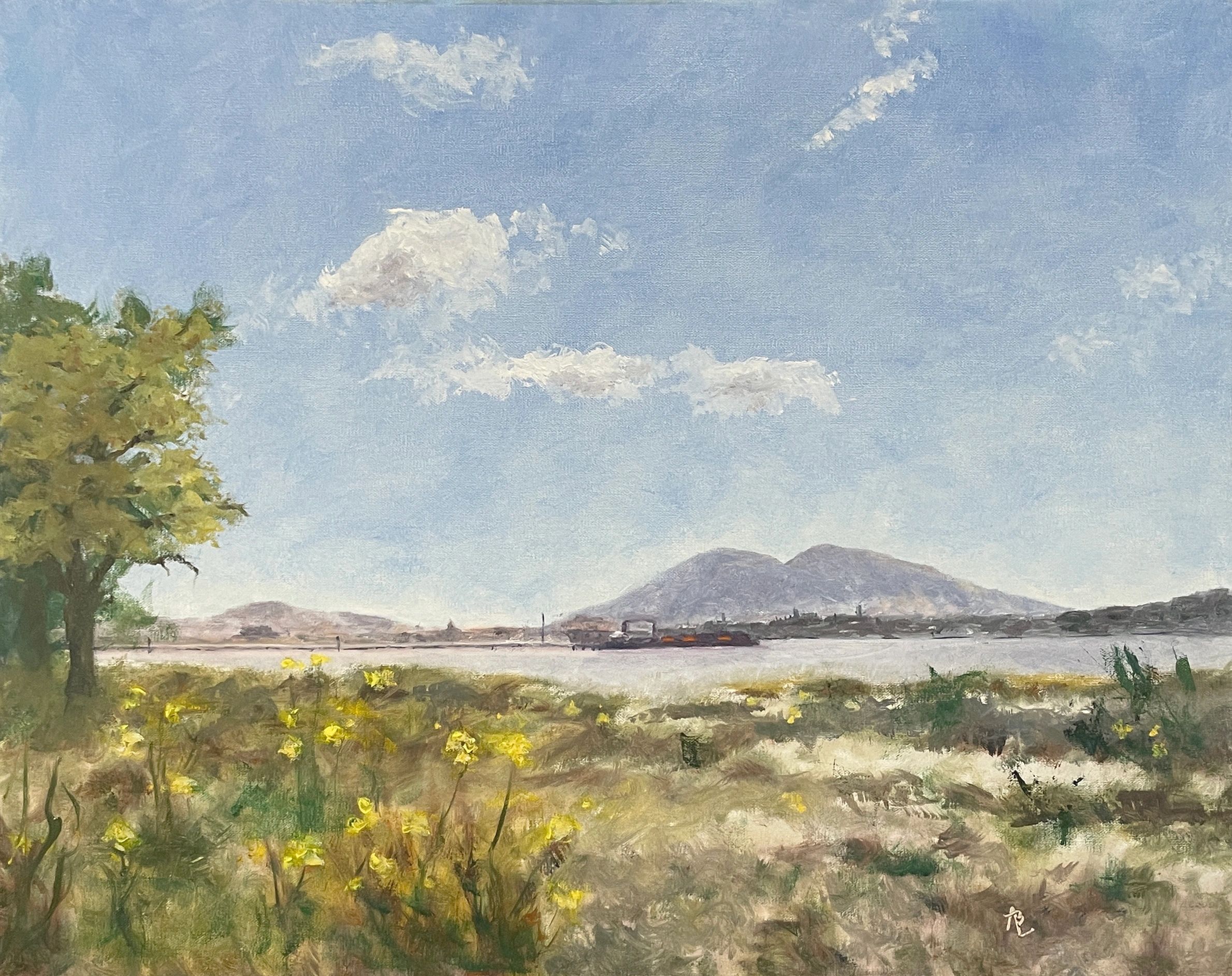 Mt Diablo is seen from marshland flowers & trees across the bay including the old ferry pier.