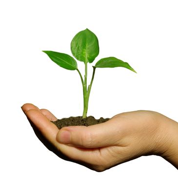 Personal Growth and New Beginnings