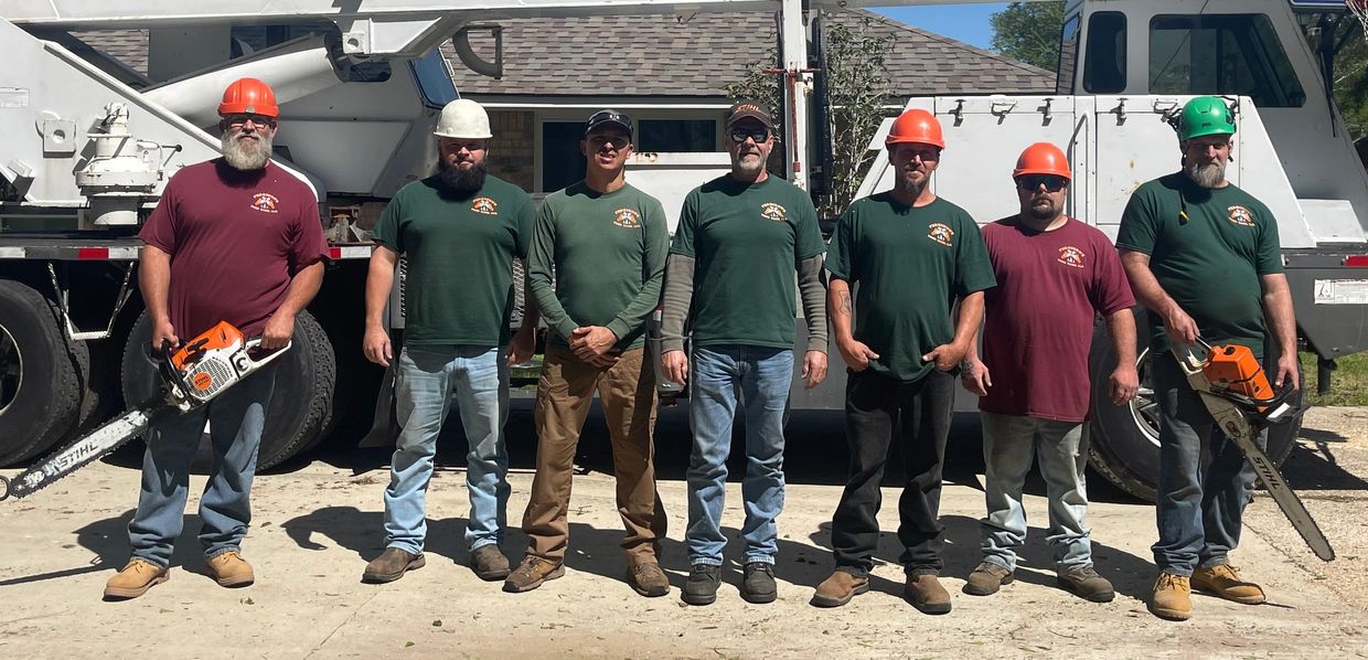 Carl Ferguson and our experience tree service crew