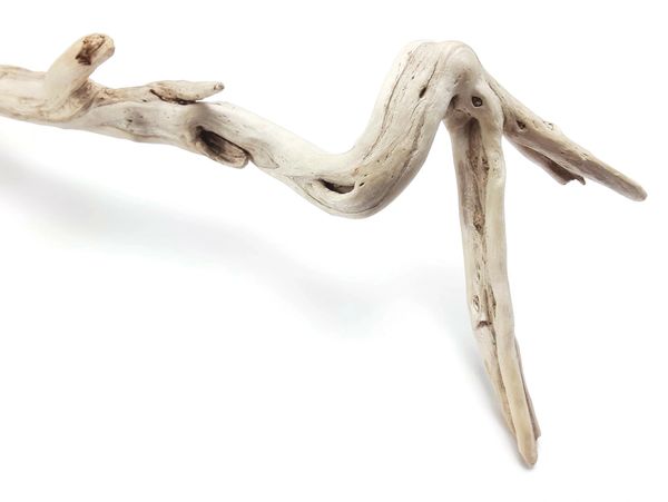 Long Curvy Driftwood Branch