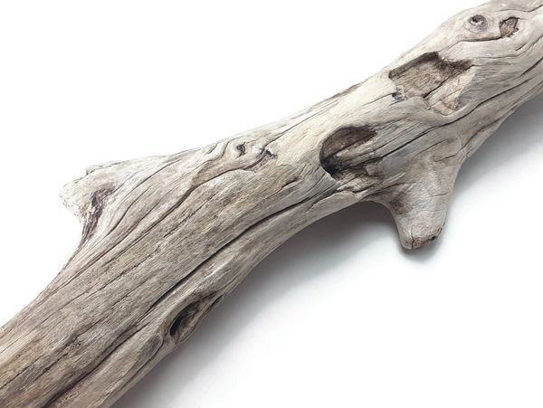 Large, Gnarly, Weathered Driftwood Branch