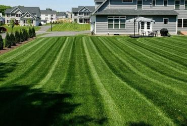 Well-maintained striped lawn in a suburban neighborhood.