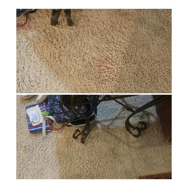 Stain Removal at it’s Finest