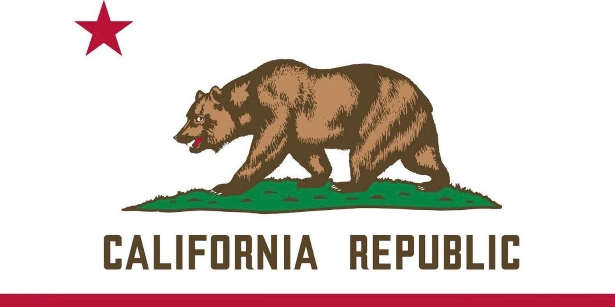 The California state flag featuring a bear and a red star.