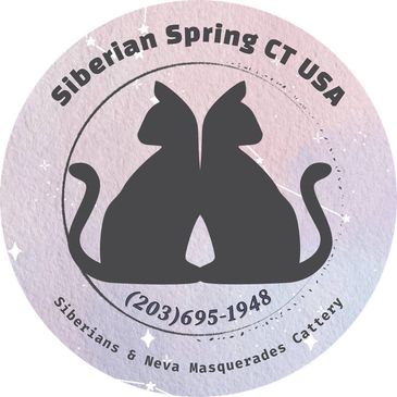 TICA registered Siberians and Neva Masquerades cattery in Watertown, CT