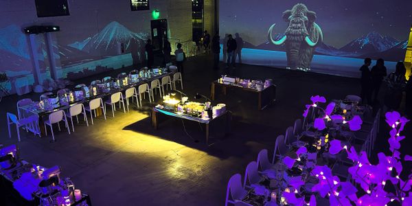 Denver Projection Mapping - Celestia Labs 3D immersive visual experience during ETHDenver